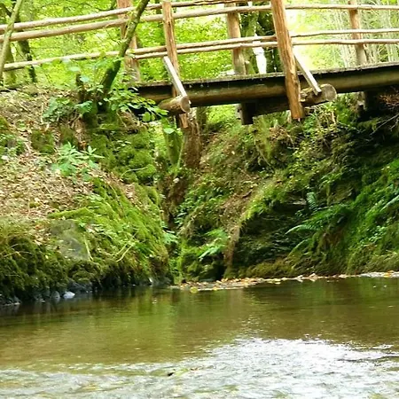 Ferienhaeuser - 