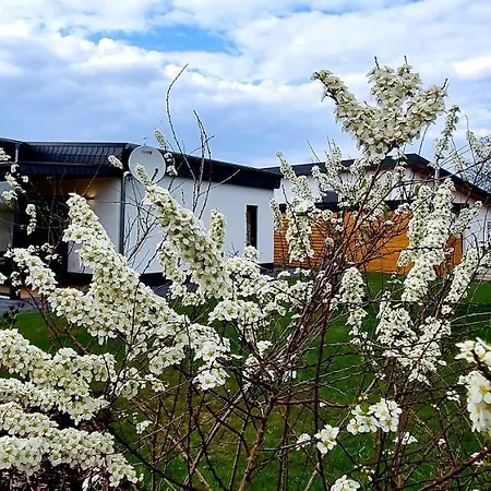 Hébergement de vacances Ferienhaeuser - 