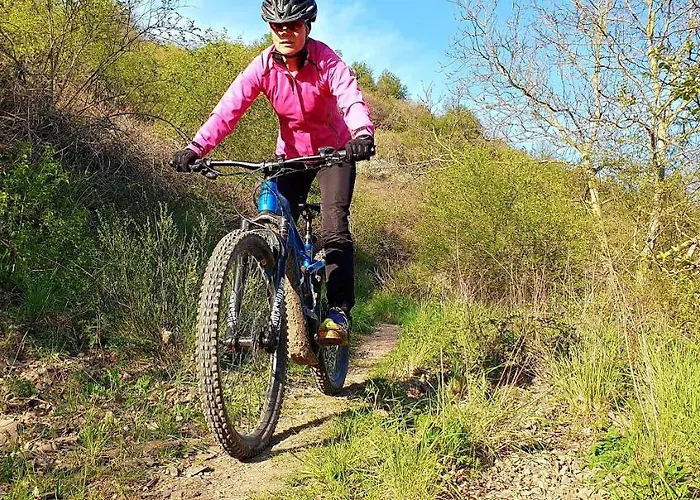 Casa de Férias Ferienhaeuser - 